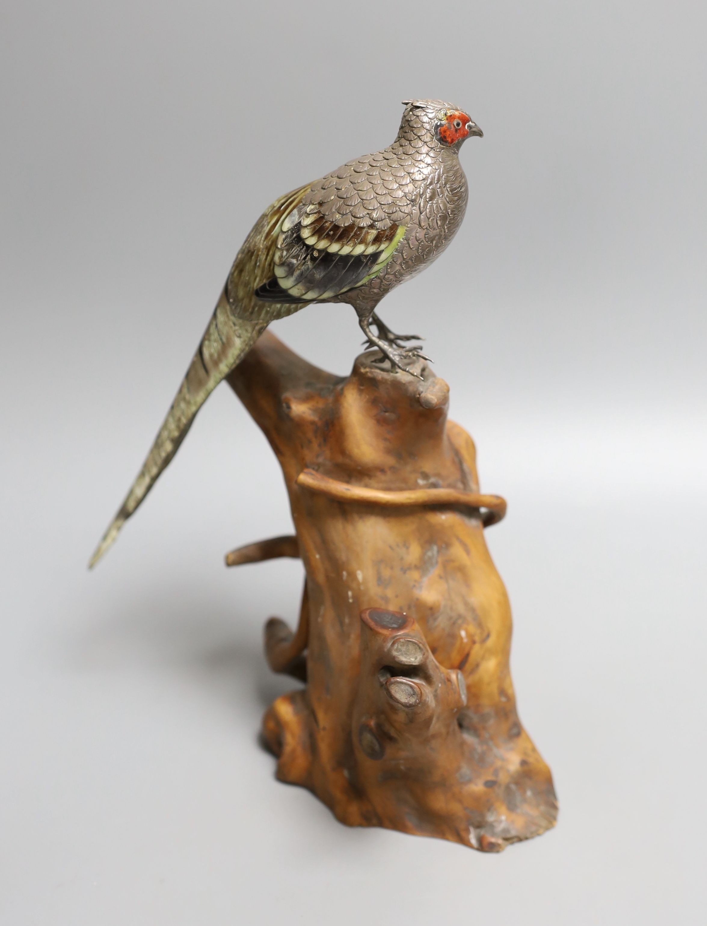 A Japanese? white metal and polychrome enamelled model of a pheasant on a root wood stand, bird 24.3cm, stand 17cm, enamel a.f., bird gross 197 grams.